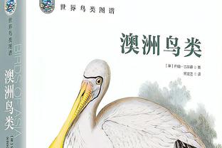 新利官网新截图0